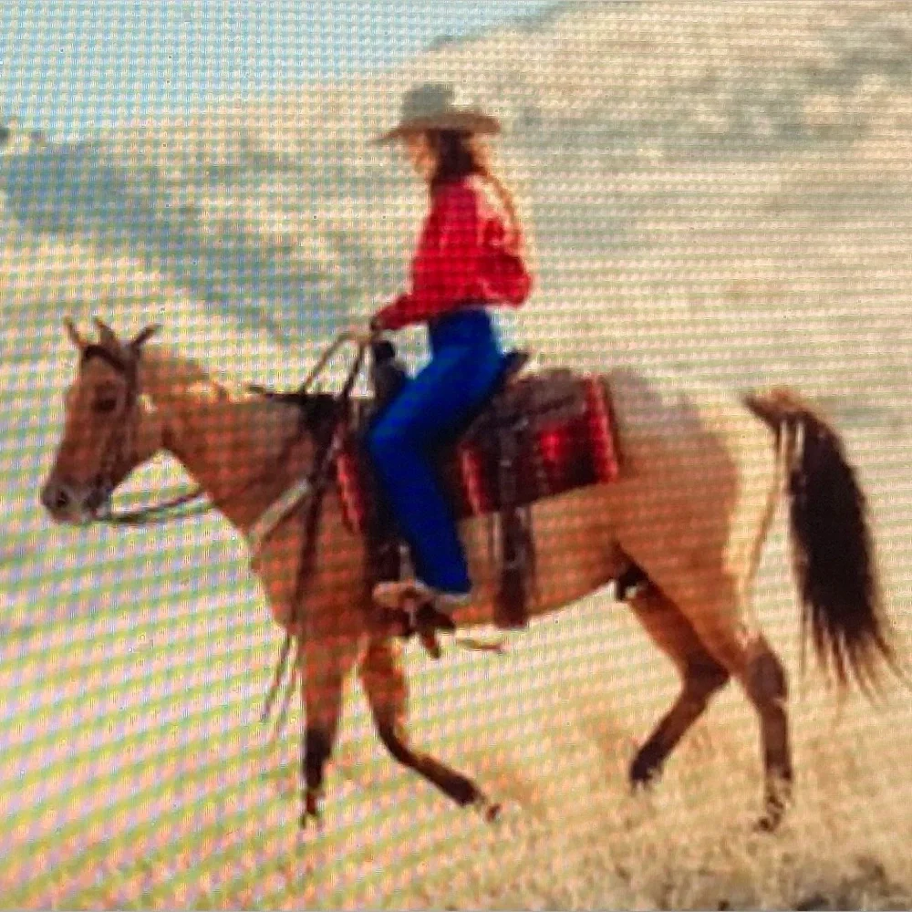 Shoe Dazzle Womens SZ Large Blue Denim jumpsuit long sleeve Zip Up - Picture 16 of 16